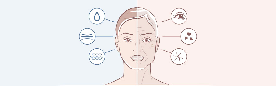 Alpeja Cosmetics Natural Cosmetic Slovenia