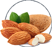 Alpeja Cosmetics Natural Cosmetic Slovenia