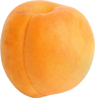 Alpeja Cosmetics Natural Cosmetic Slovenia