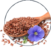 Alpeja Cosmetics Natural Cosmetic Slovenia