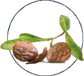 Alpeja Cosmetics Natural Cosmetic Slovenia