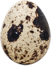 Alpeja Cosmetics Natural Cosmetic Slovenia