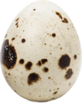 Alpeja Cosmetics Natural Cosmetic Slovenia