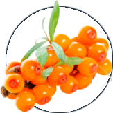 Alpeja Cosmetics Natural Cosmetic Slovenia