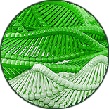 Alpeja Cosmetics Natural Cosmetic Slovenia