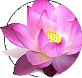 Alpeja Cosmetics Natural Cosmetic Slovenia