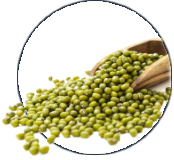 Alpeja Cosmetics Natural Cosmetic Slovenia